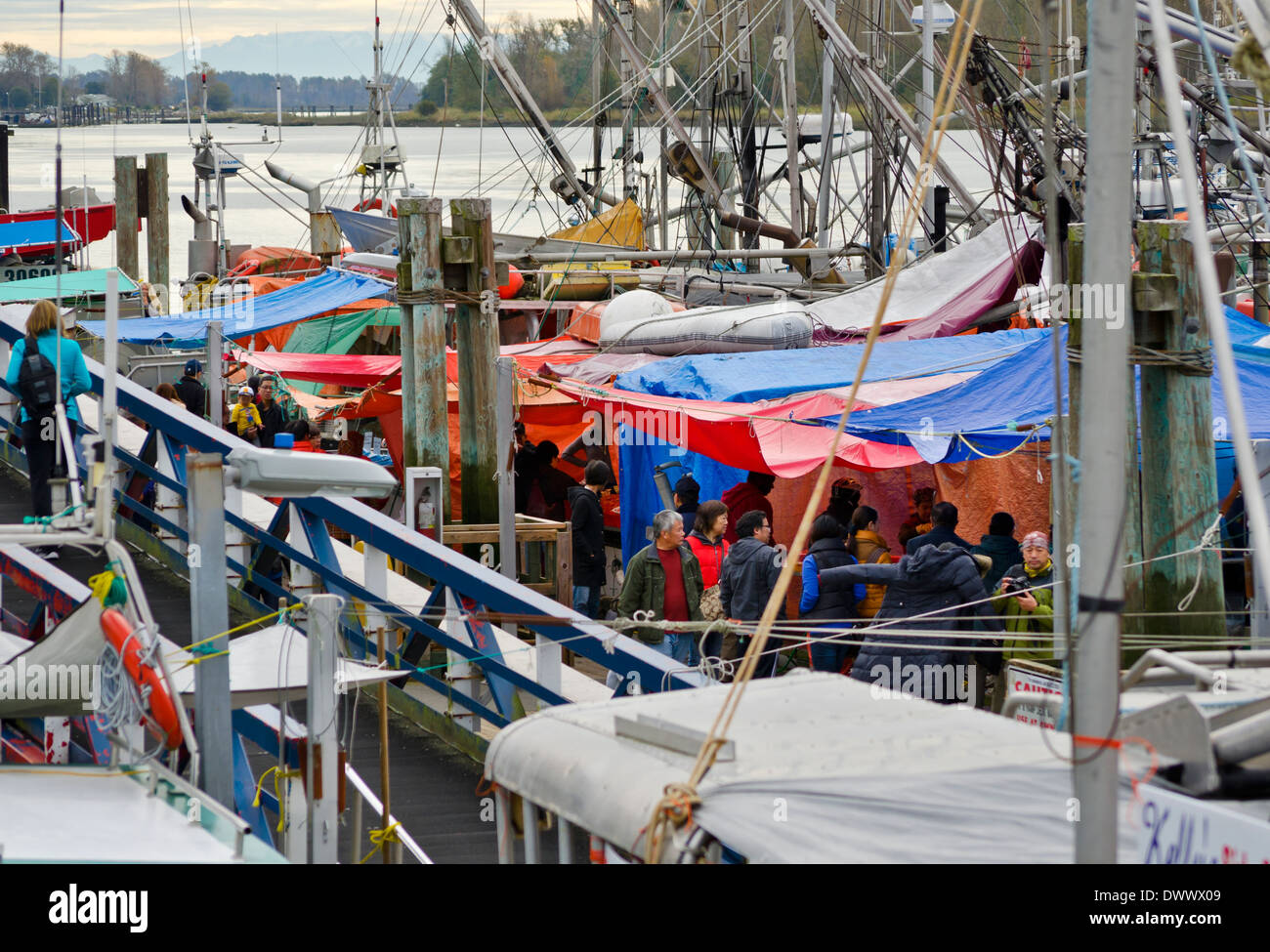 Buyers of fresh seafood visit the fishermen selling off their fishing boats at Fisherman's Wharf in Steveston, British Columbia. Stock Photo