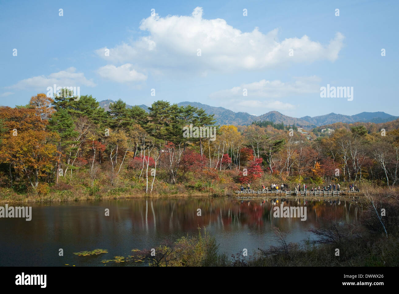 Shiga Plateau in autumn, Nagano, Japan Stock Photo