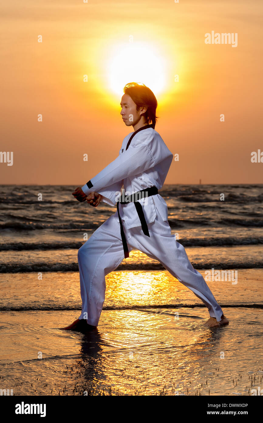 Martial arts man training taekwondo on beach at sunset Stock Photo Alamy