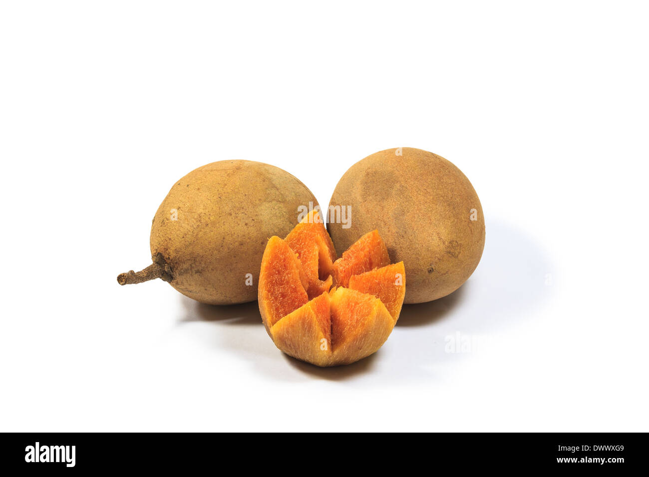 Sapodilla fruit isolated on white background Stock Photo