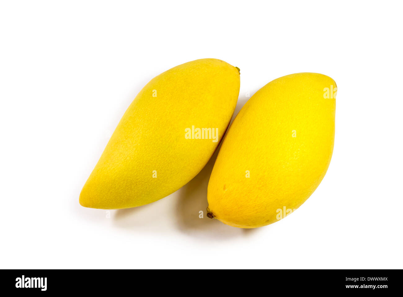 Ripe mangoes on white background Stock Photo - Alamy