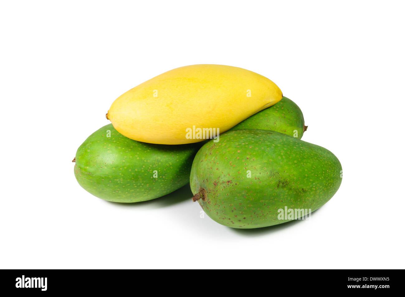 Mangoes on white background Stock Photo Alamy