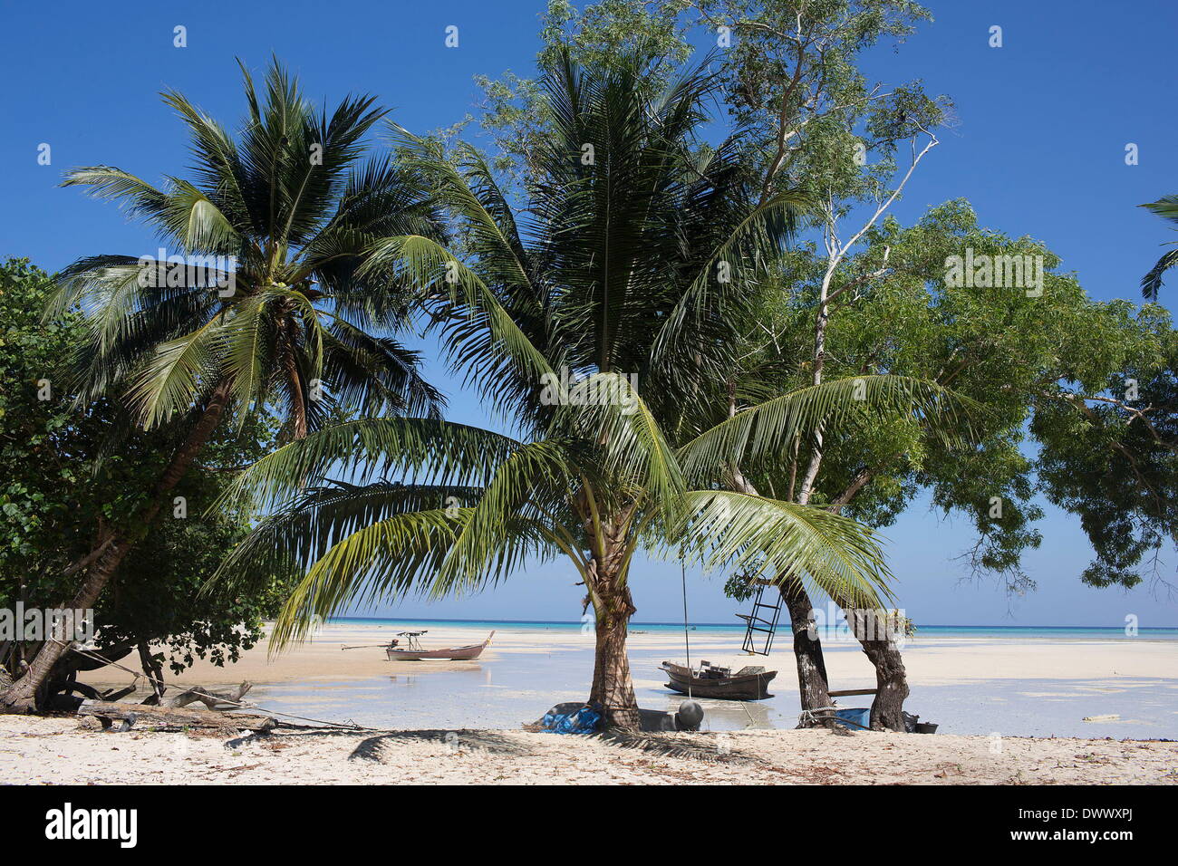 Mar 1, 2014 - Ko Surin, Thailand - Palm trees and boats at low tide on one of the many beaches the Moken forage on in Mu Koh Surin National Park. Often called sea nomads or sea gypsies, the Moken are a seafaring people who for centuries lived nomadically on the Andaman Sea. However, due to stricter border control, commercial overfishing, rapid development, and tourism, the Moken have gradually been forced to adopt a settled lifestyle. Today, the Moken who live in Koh Surin National Park, one of Thailand's most remote group of islands, have it better than many of their kin and are still able to Stock Photo