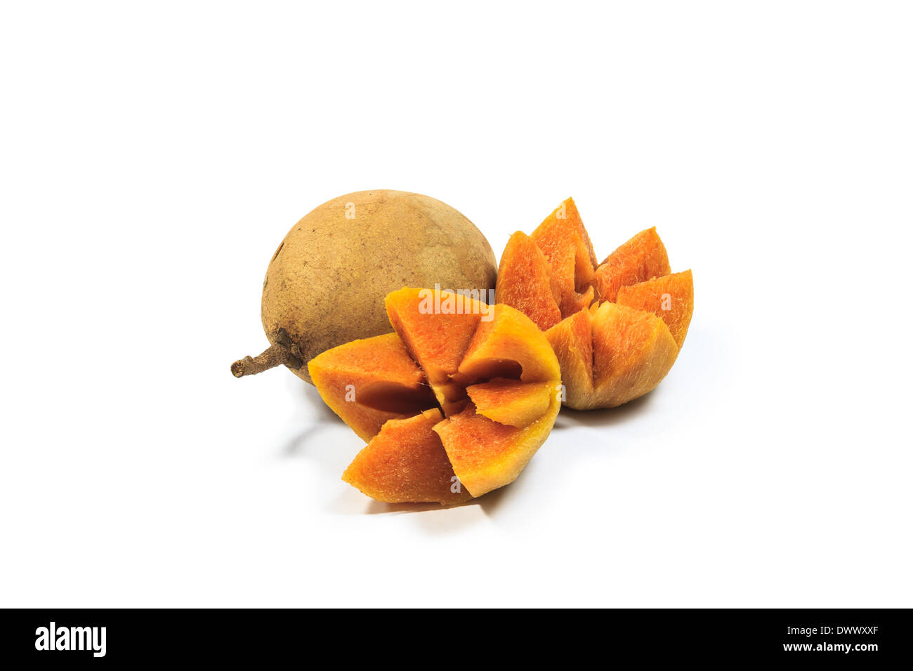 Sapota fruit isolated on white background Stock Photo