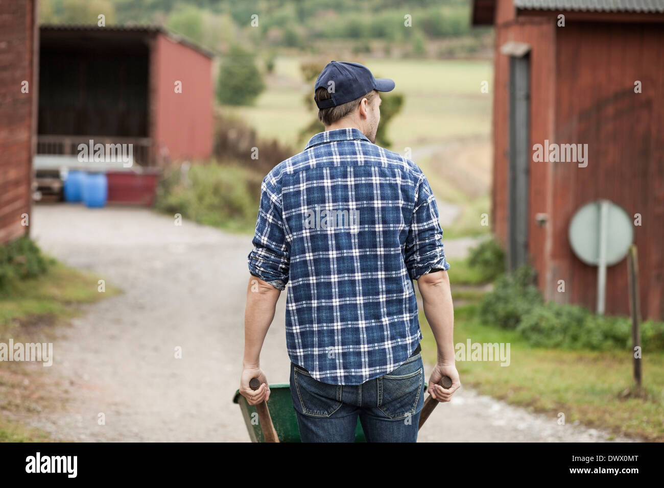 Rear view of farmer pushing wheelbarrow on rural road Stock Photo - Alamy