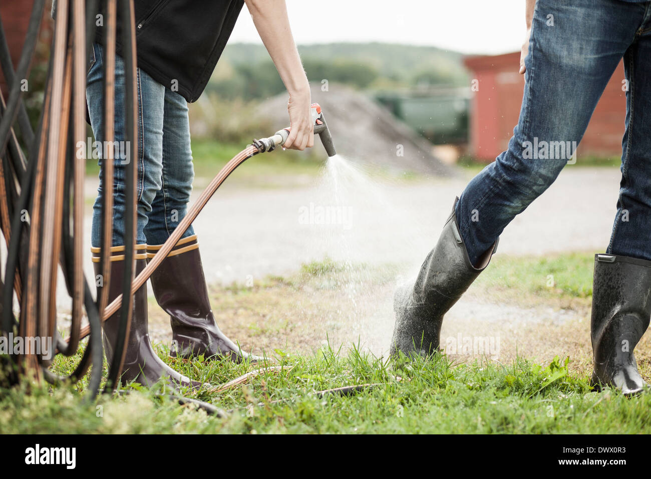 Low section of woman spraying water from hose on man's leg on farm Stock Photo