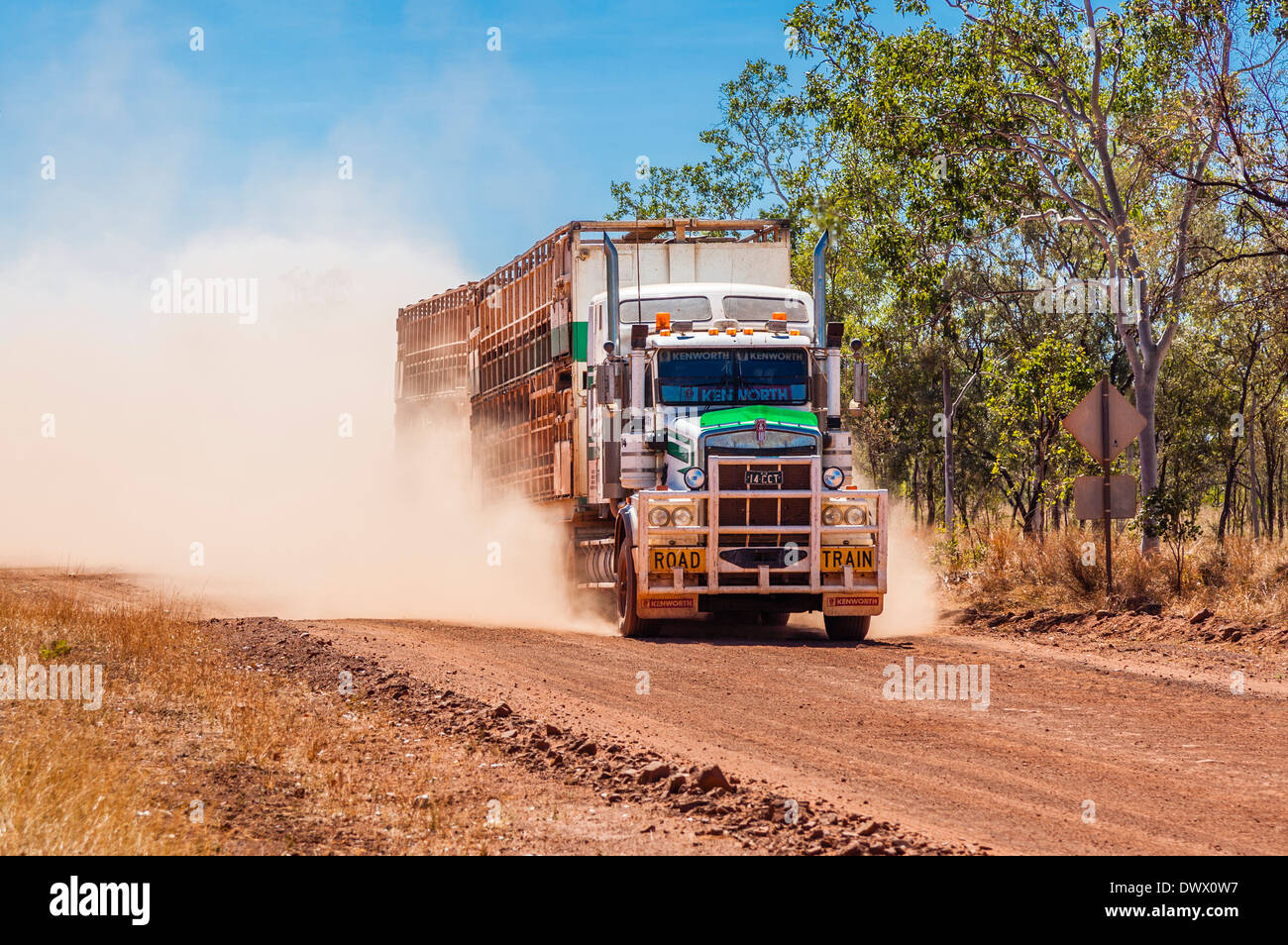 Australia, Northern Territory, road train with cattle livestock on the Carpentaria Hwy in the remote Gulf of Carpentaria region Stock Photo