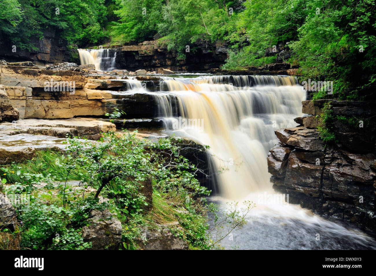 Woodland flow hi-res stock photography and images - Alamy
