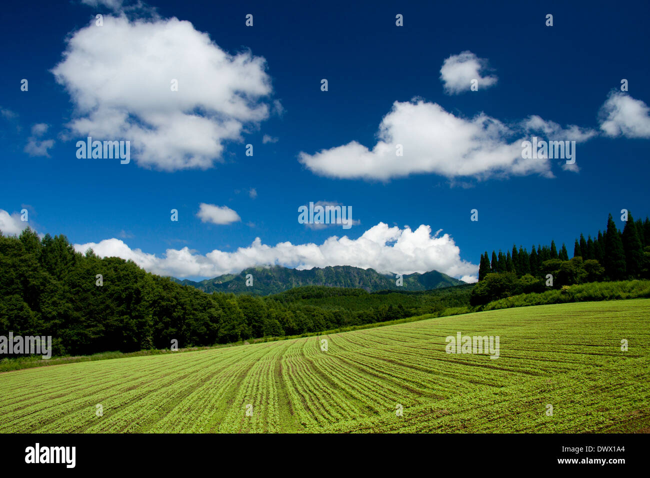 Mt. Togakushi and farmland, Nagano, Japan Stock Photo