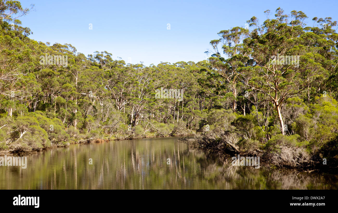 The Denmark River flows through indigenous forest in the town of