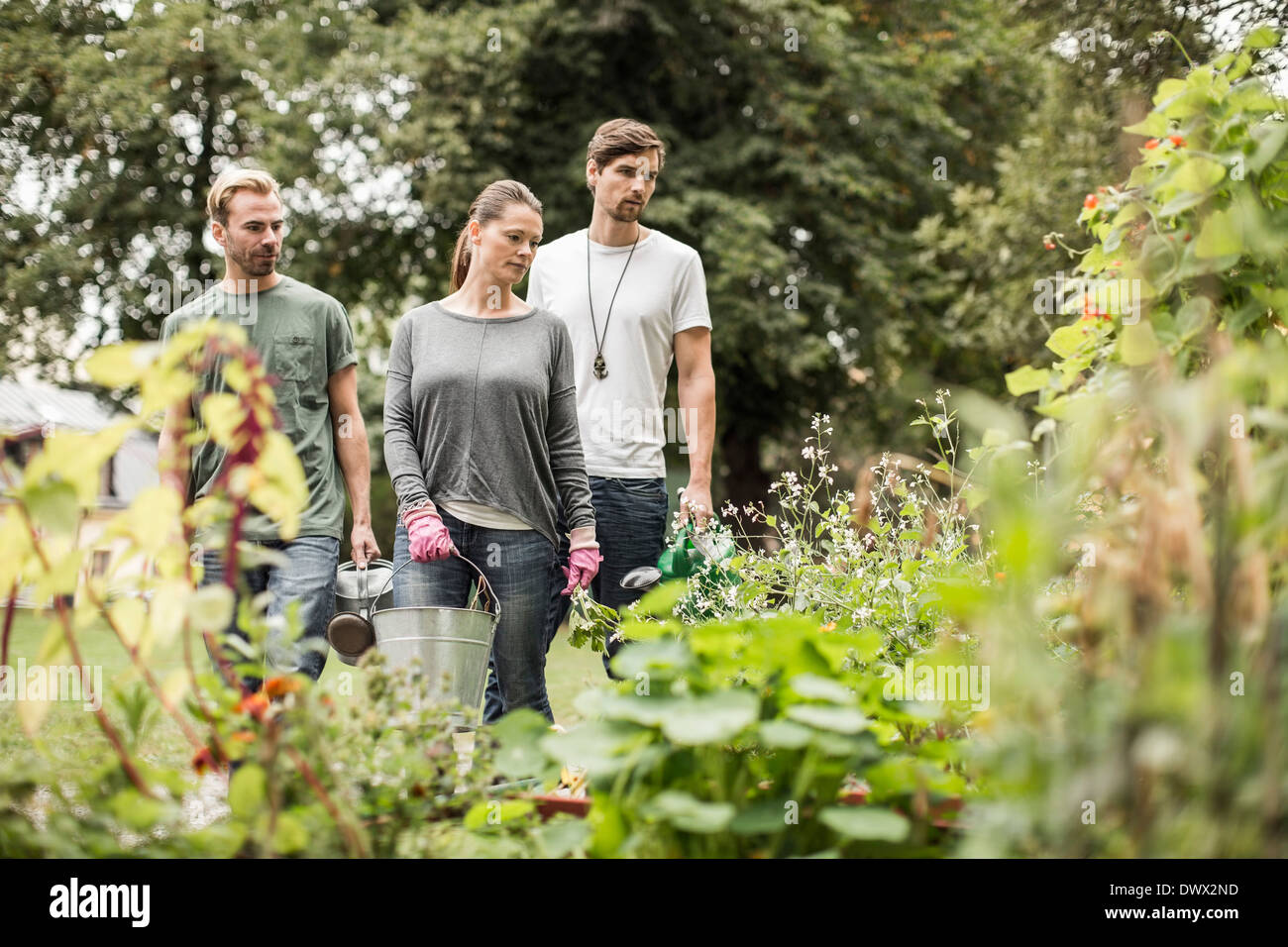 Plants are friends hi-res stock photography and images - Alamy