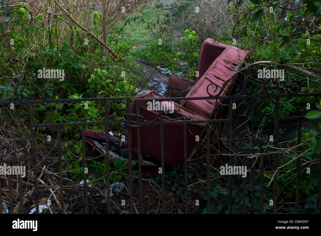 Dumped rotting sofa, overgrown garden Stock Photo