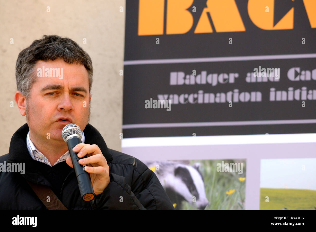 Dominic Dyer of the Badger Trust at an Anti badger cull protest outside parliament, 13th March 2014 Stock Photo