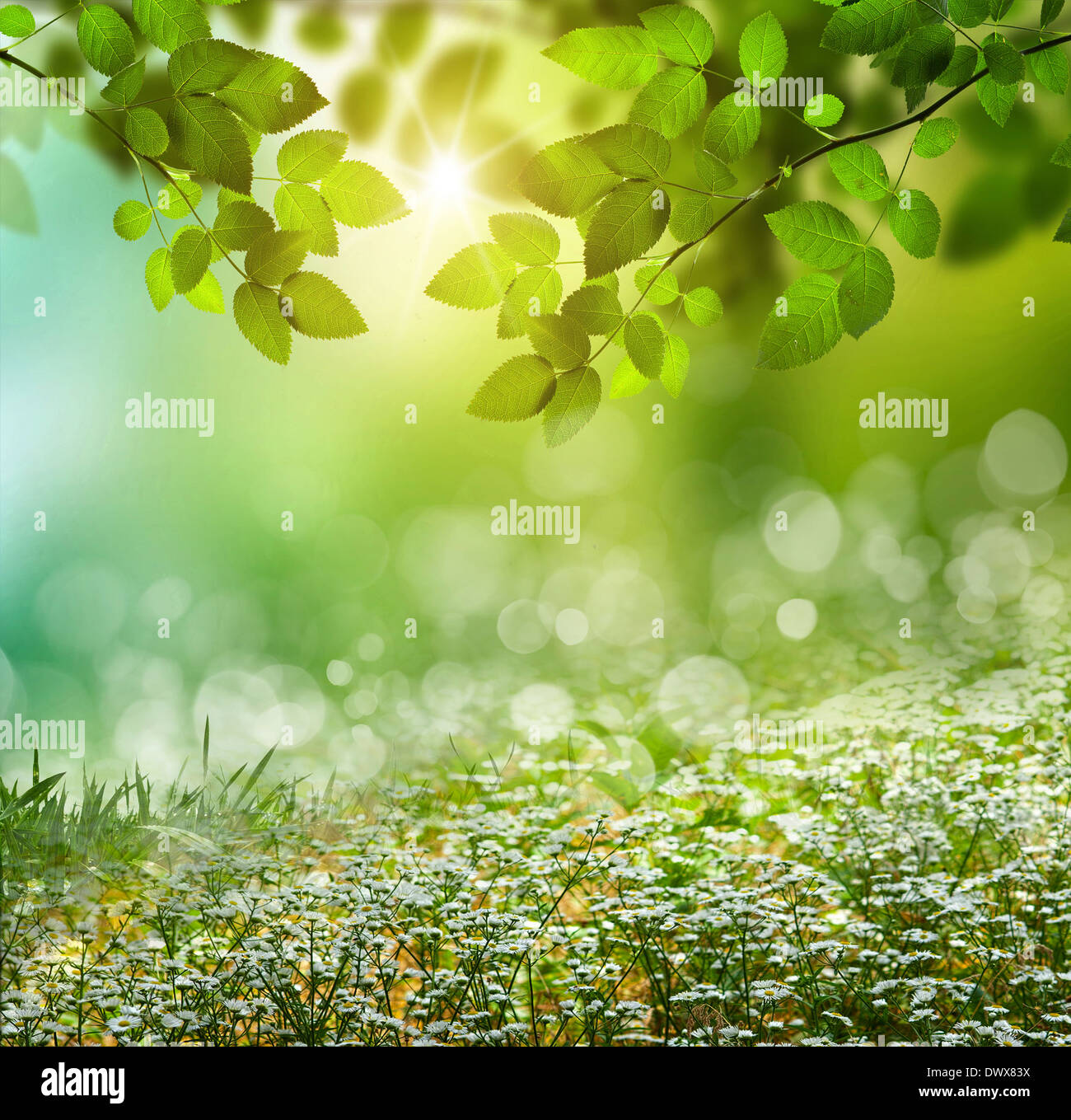 Spring or summer season abstract nature background with grass and blue ...