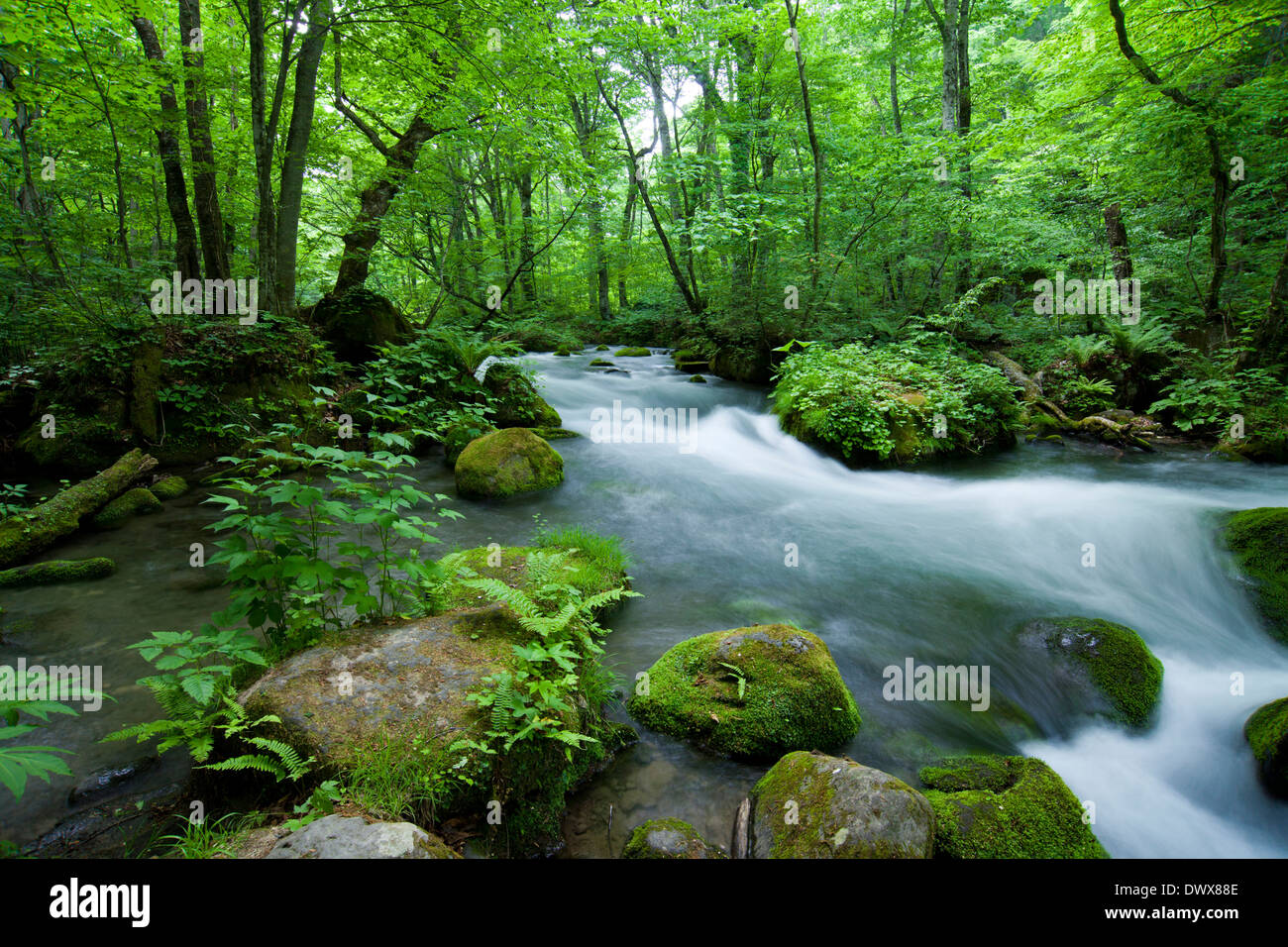 Oirase River, Aomori, Japan Stock Photo Alamy