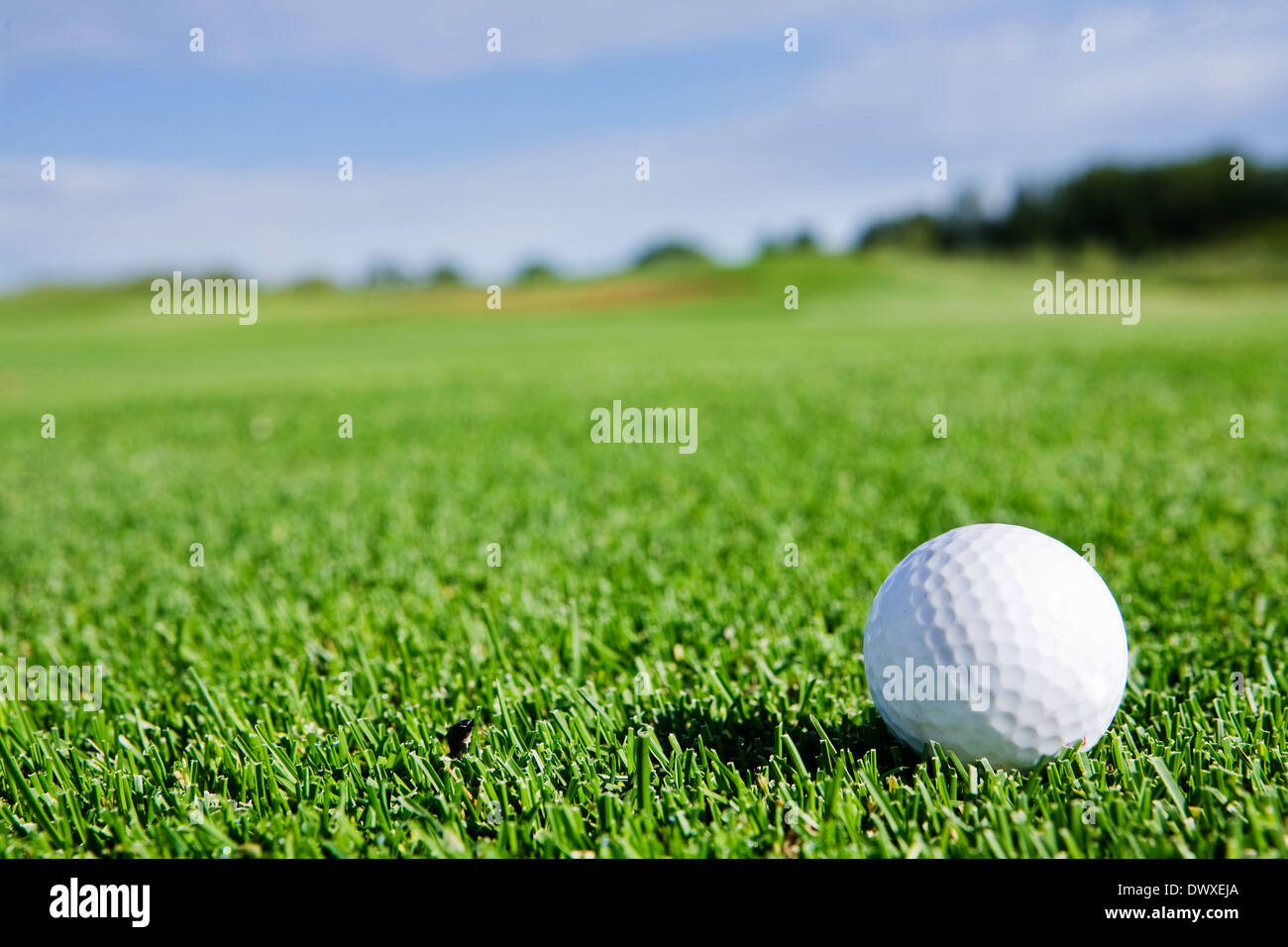 Golf Ball Stock Photo