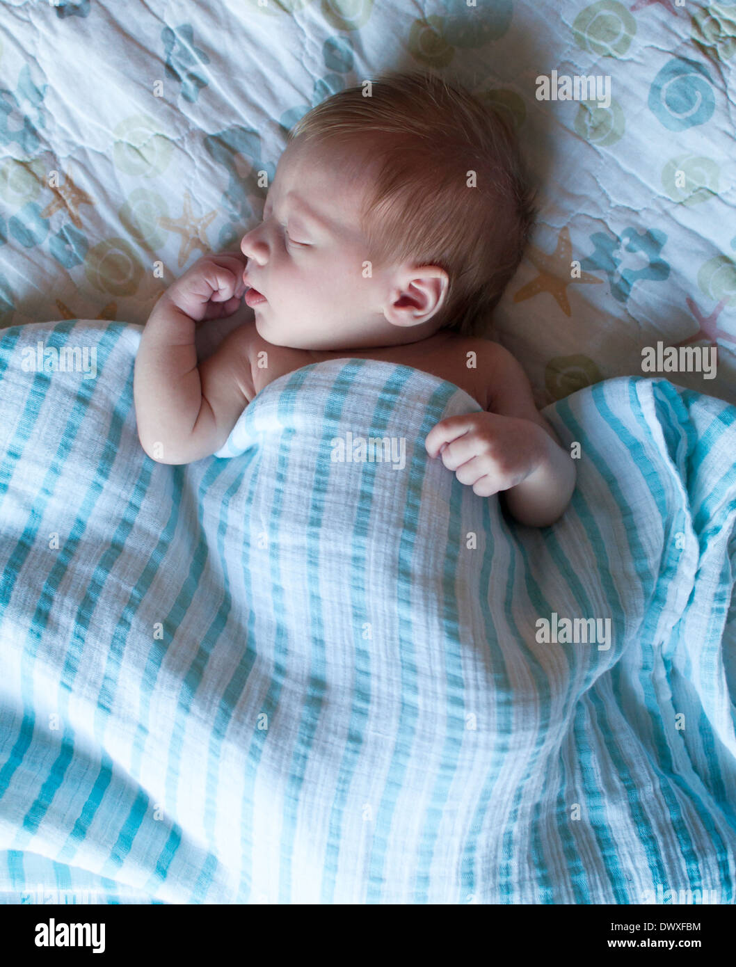 Newborn baby sleeping Stock Photo
