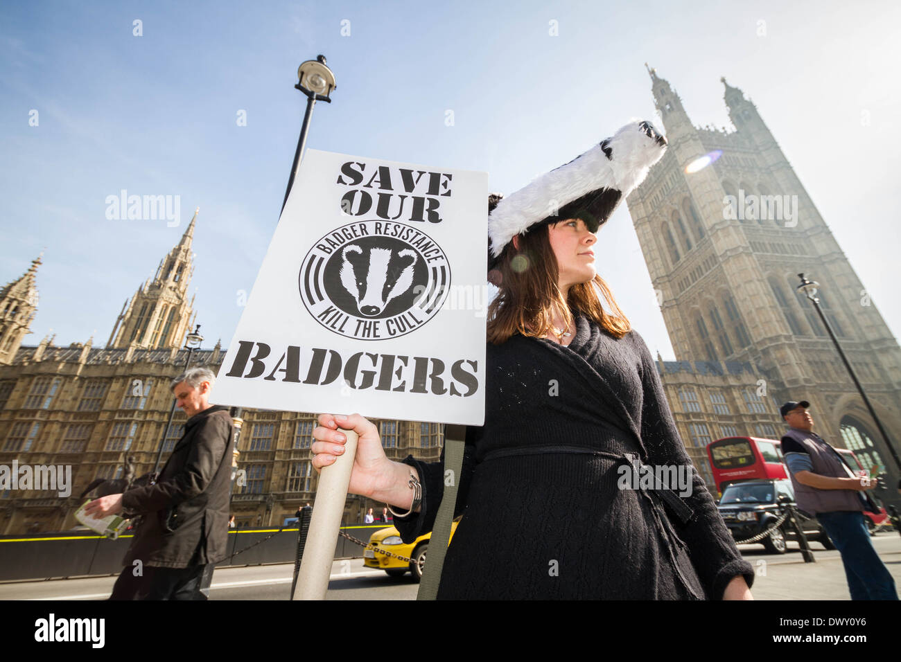 British Badger Cull Protest outside Parliament in London Stock Photo