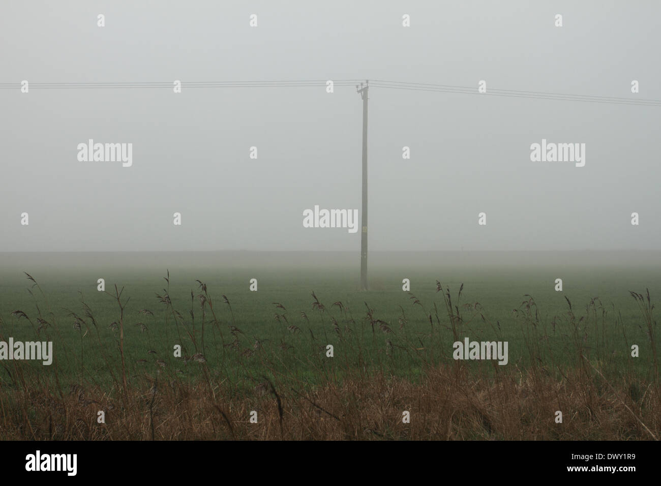 bad weather,foggy,english countryside,electrical post Stock Photo