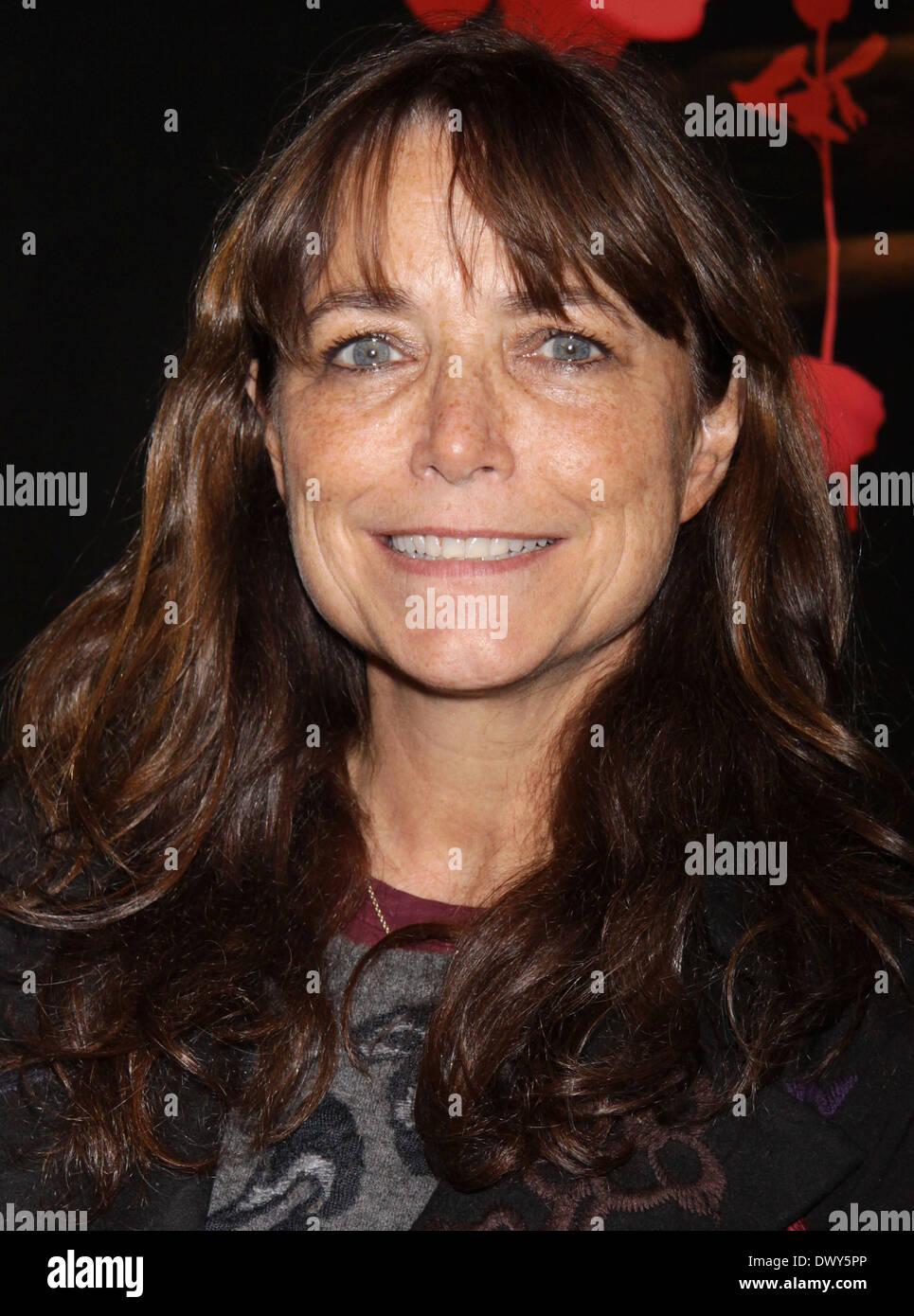 Karen Allen Opening night of the new play 'Turning Page' at the Cherry Lane Theatre Featuring: Karen Allen Where: New York City, United States When: 14 Oct 2012 Stock Photo