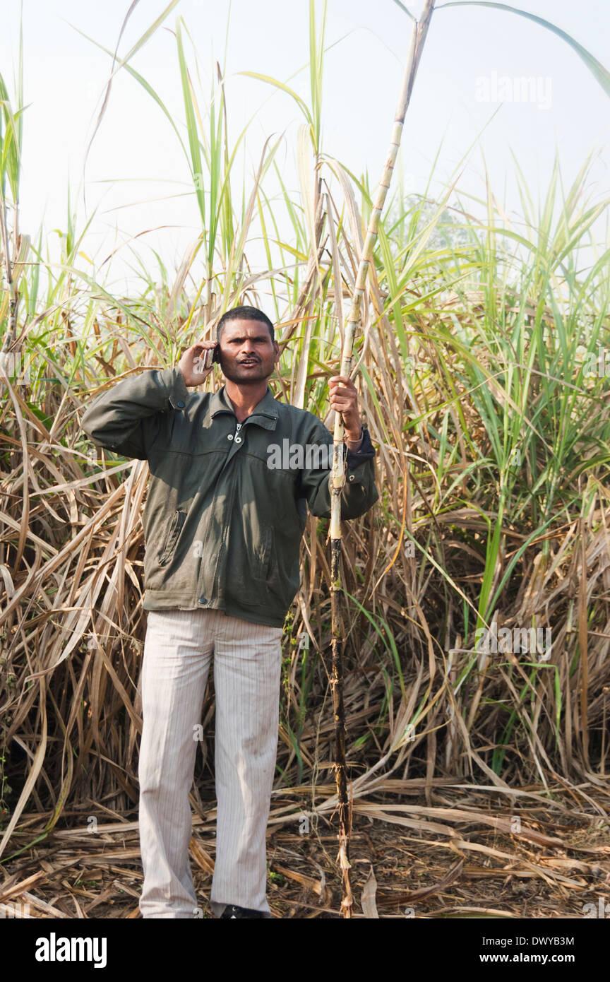 1 Indian Farmer standing in Farms Stock Photo - Alamy