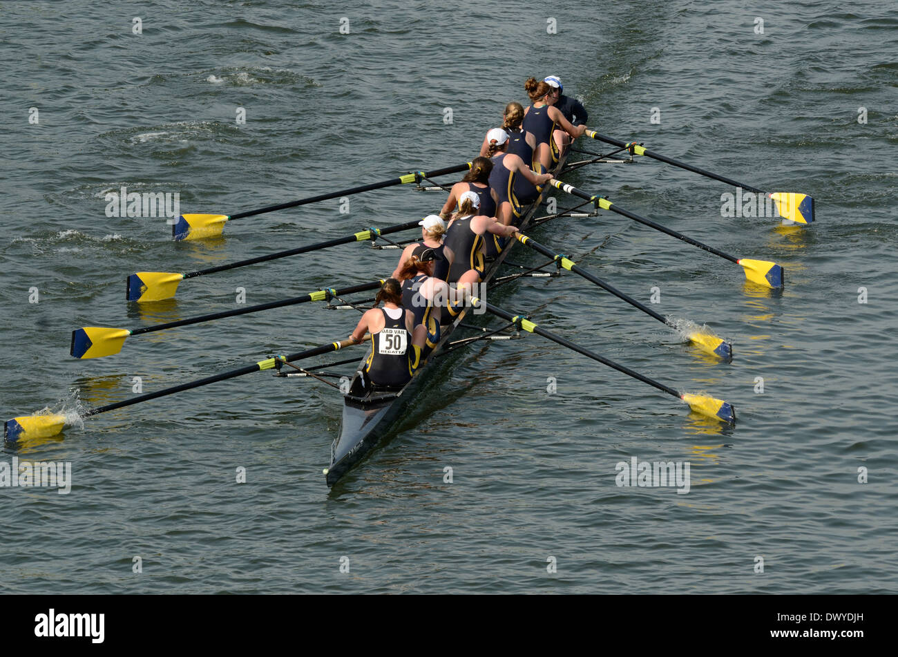 Rowing on the schuylkill river hires stock photography and images Alamy