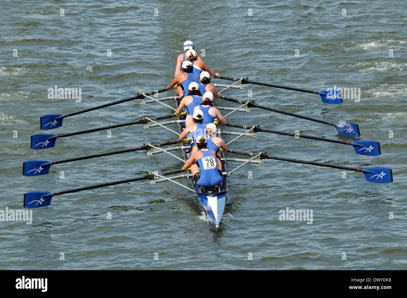 Rowing on the schuylkill river hires stock photography and images Alamy