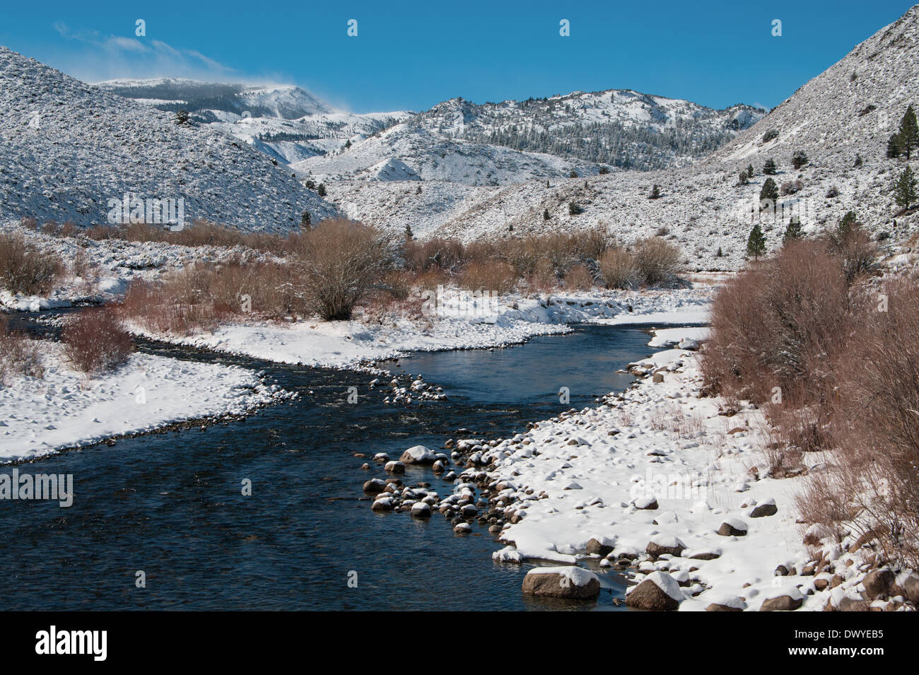 Mountain Stream in Winter Stock Photo