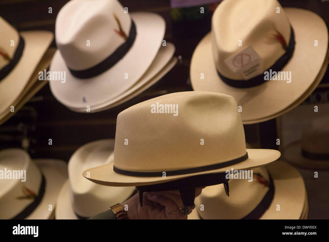 Panama Hat High Resolution Stock Photography and Images Alamy