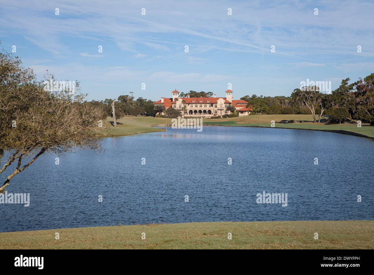 Sawgrass hi-res stock photography and images - Alamy