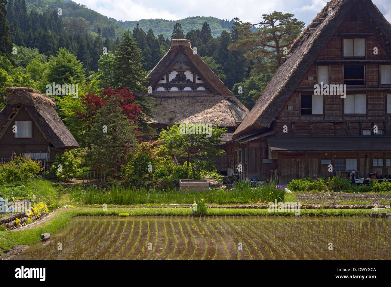 Gassho-style House with Steep Rafter Roof, Shirakawa, Gifu Prefecture, Japan Stock Photo