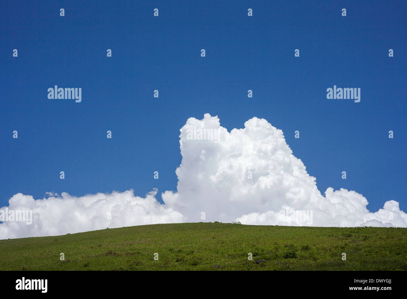 Clouds in Blue Sky and Grassland, Nagano Prefecture, Japan Stock Photo