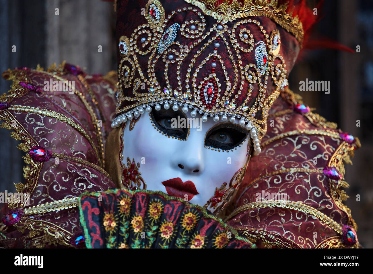 Venice carnival 2014 hi-res stock photography and images - Alamy