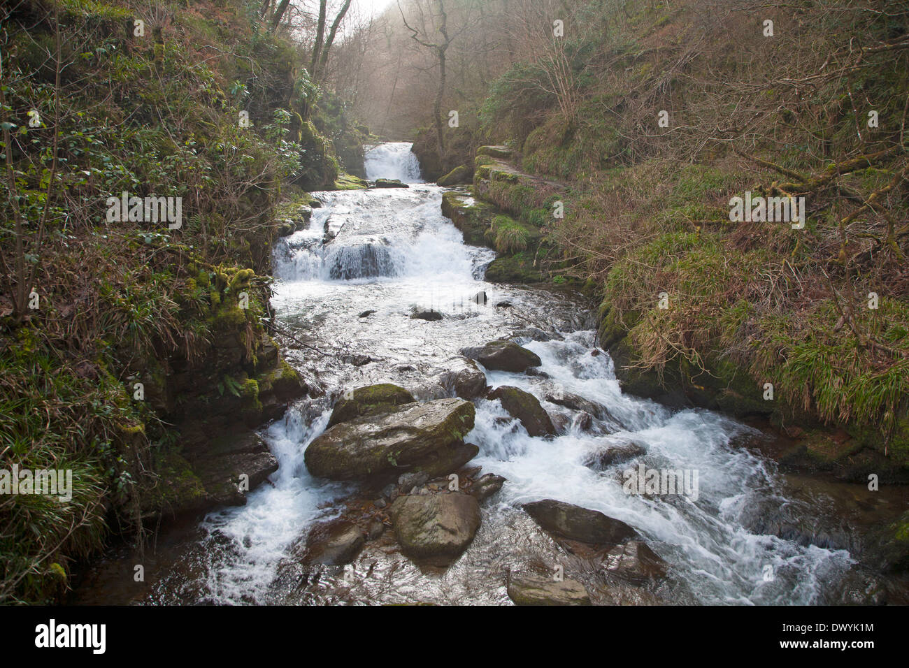 Hoar Oak Water river waterfall at Watersmeet, Lyn Valley, near Lynmouth, Exmoor national park, Devon, England Stock Photo