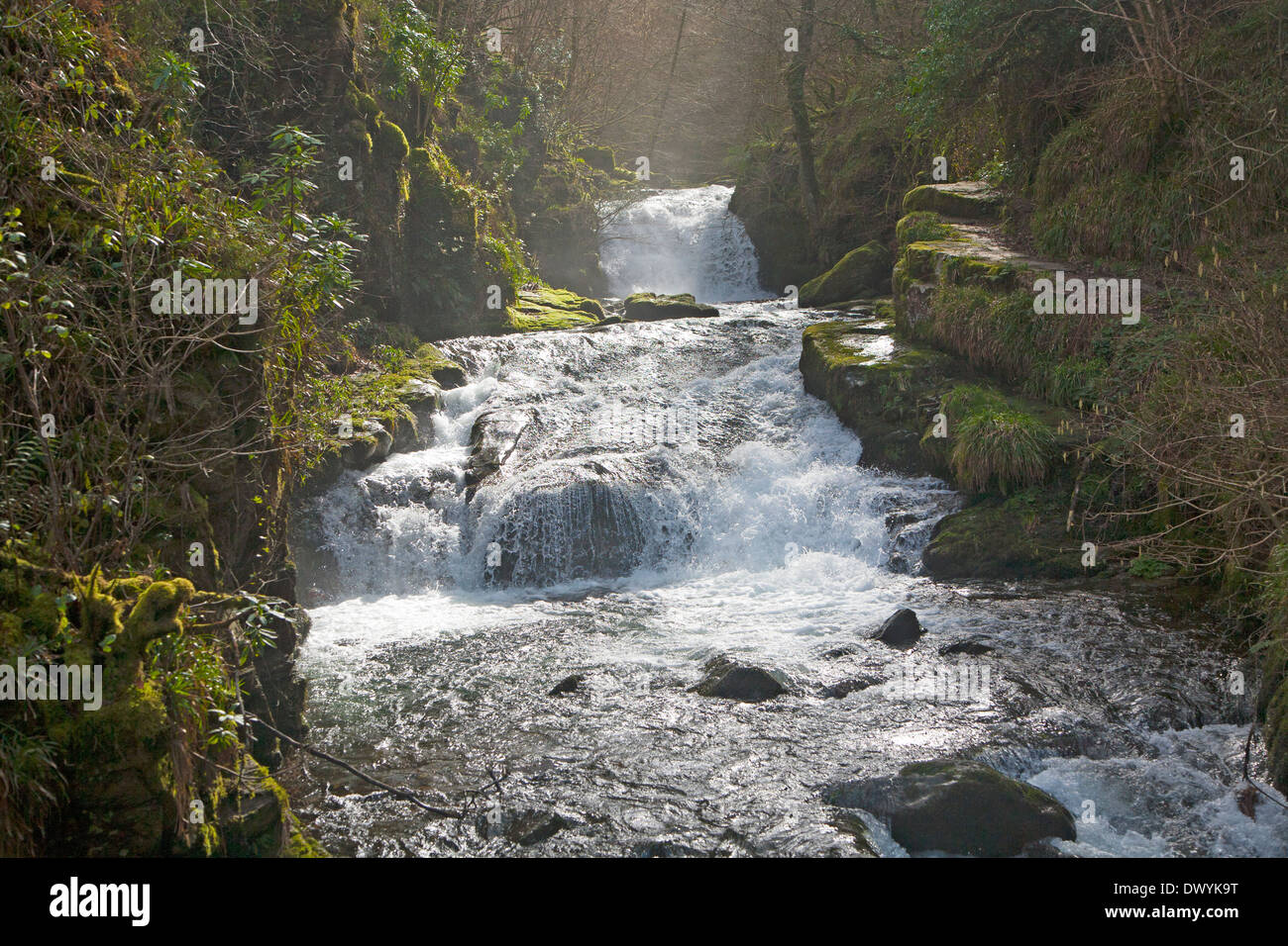 Hoar Oak Water river waterfall at Watersmeet, Lyn Valley, near Lynmouth, Exmoor national park, Devon, England Stock Photo