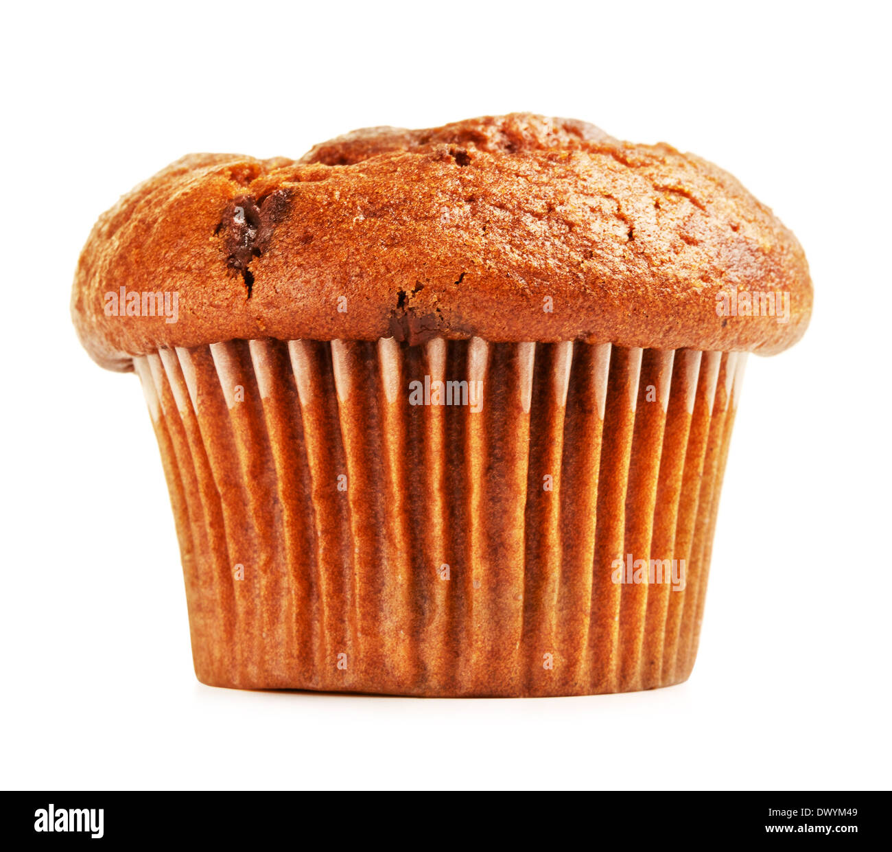 fresh chocolate muffin, isolated on white background Stock Photo - Alamy