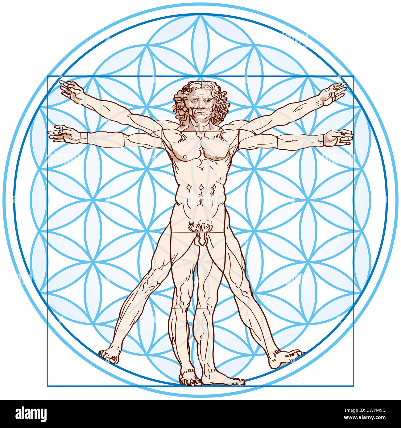 Vitruvian Man fits in the Flower Of Life. Stock Photo
