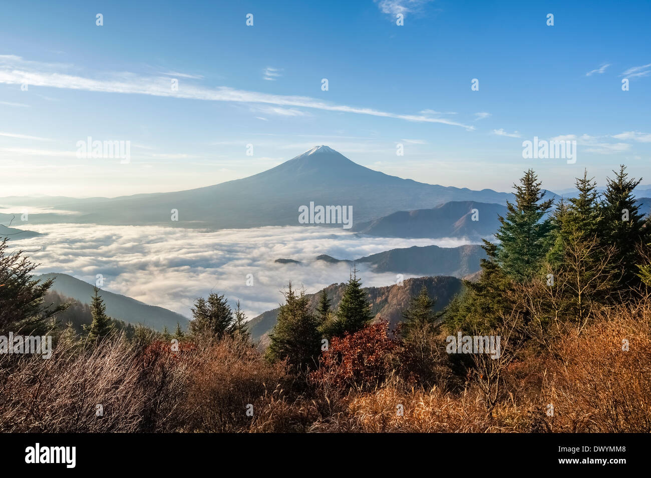 Mount Fuji in the morning, Yamanashi Prefecture, Japan Stock Photo