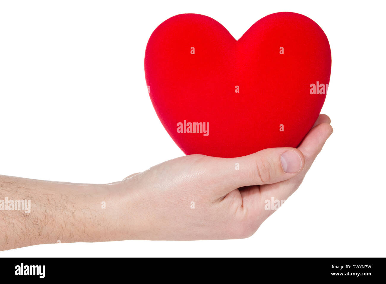 Health insurance or love concept . Heart in hand isolated on white ...