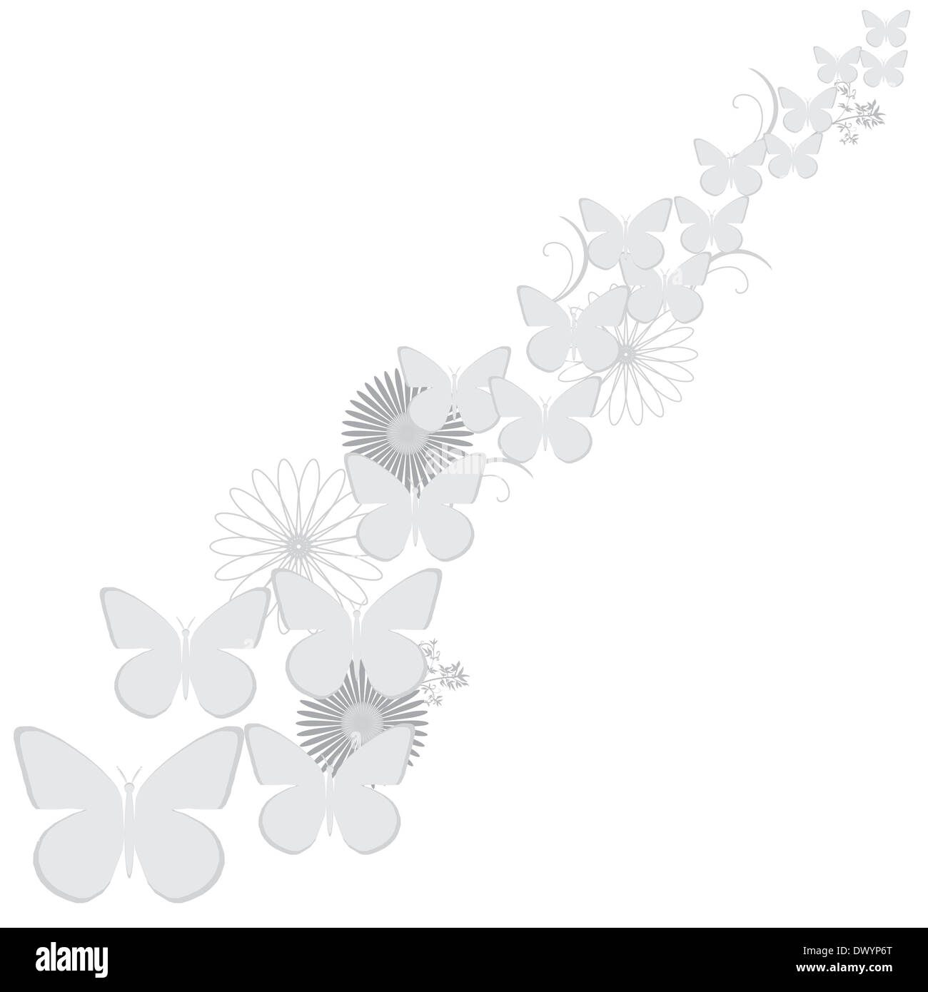 gray butterflies and flowers on a white background, vector illustration ...