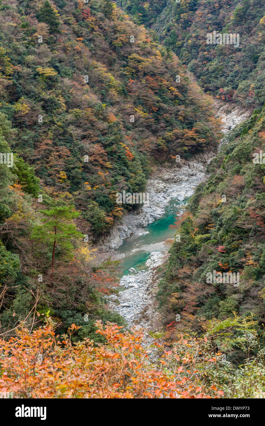 Iyakei Valley, Miyoshi, Tokushima Prefecture, Japan Stock Photo
