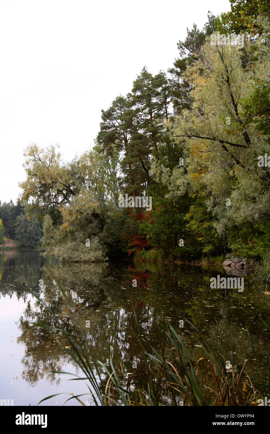 River scenery in autumn in Finland Stock Photo