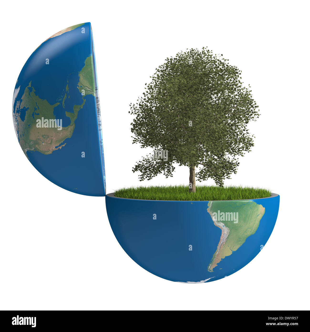 Planetree growing inside opened planet Earth, isolated on white background, concept of ecology. Elements of this image furnished by NASA Stock Photo