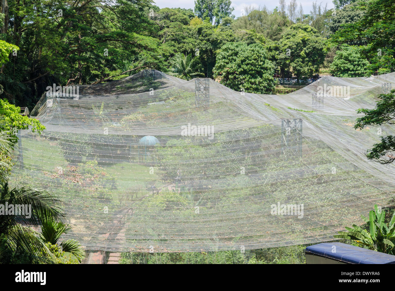 Bird netting creating the worlds largest free flight walk-in aviary at Kuala Lumpur Bird Park, Kuala Lumpur, Malaysia Stock Photo