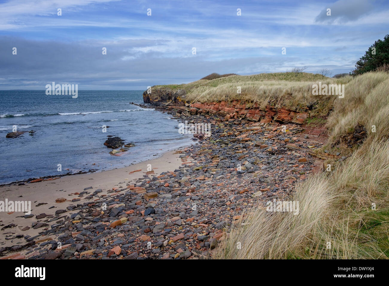 Eroded sandstone cliffs at Tyninghame, East Lothian, Scotland. Sometimes known as Ravensheugh or Peffersands beach. Stock Photo