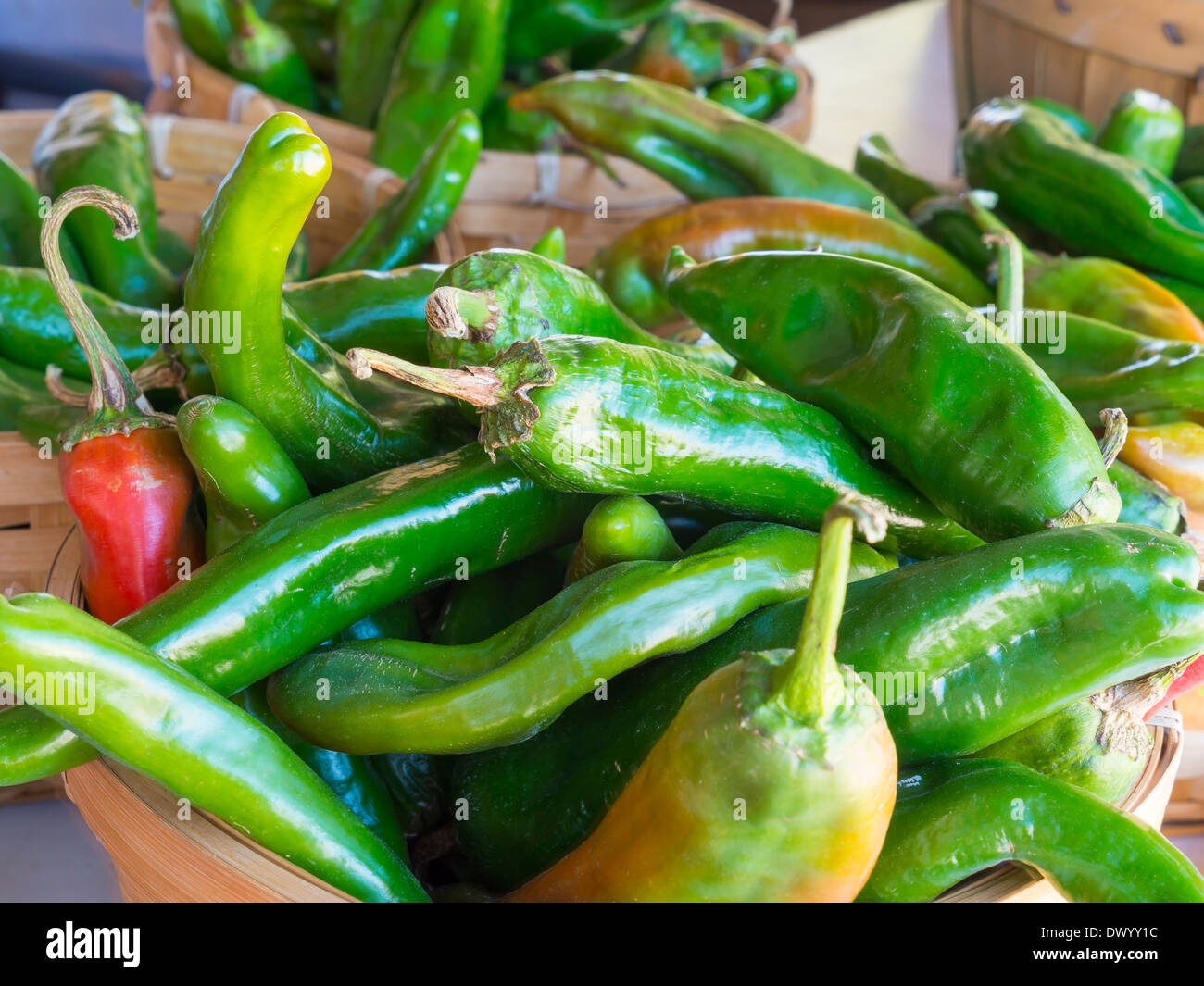 Fresh green and red chili peppers on a market stall in New Mexico, USA. Stock Photo