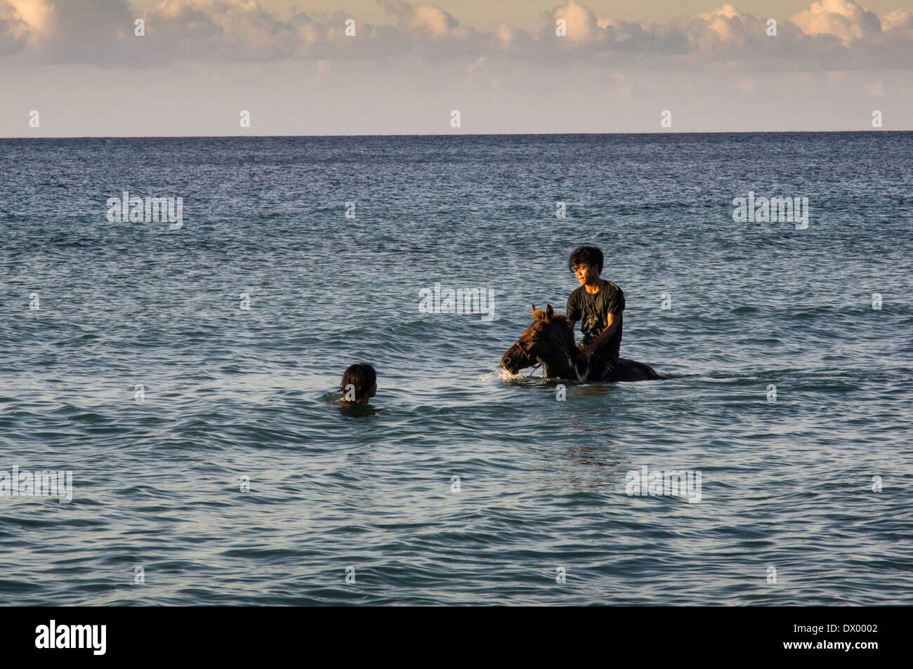 local man with horse swimming in the sea, Gili Trawangan, gili islands, Indonesia, Asia Stock Photo