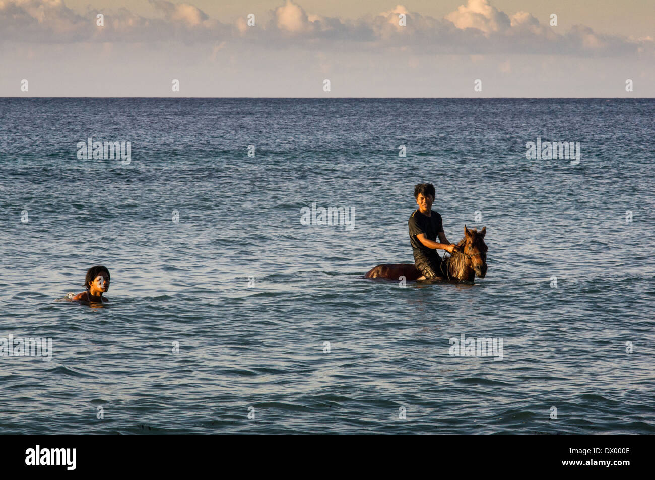 local man with horse swimming in the sea, Gili Trawangan, Gili islands, Indonesia, Asia Stock Photo
