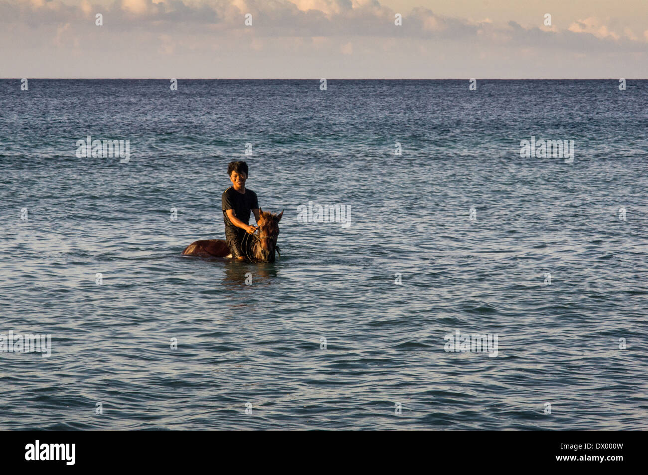 local man with horse swimming in the sea, Gili Trawangan, Gili islands, Indonesia, Asia Stock Photo
