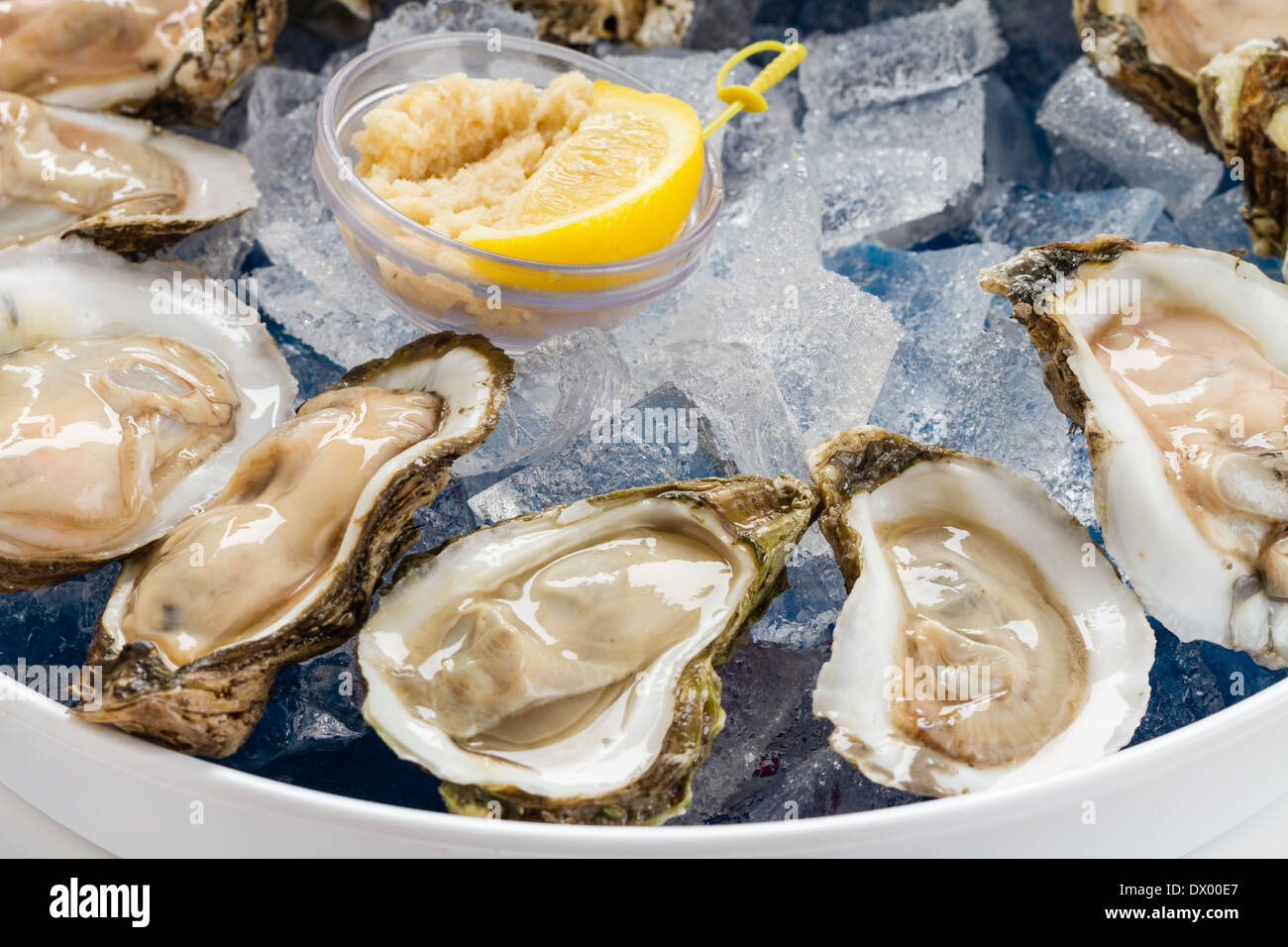 Raw Oysters served on the half shell over ice. Stock Photo